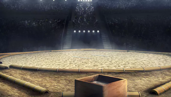 Who are the heaviest Sumo wrestlers of all time?